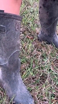 Aigle Stall Stiefel