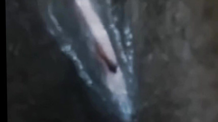 Cuteteddy: Jungfrau fühlt sich so geil