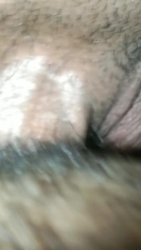 Chubby Pussy