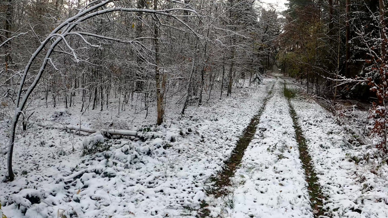 Bouncy Tits Action: Naked Through the Woods and Beating Breasts Warm
