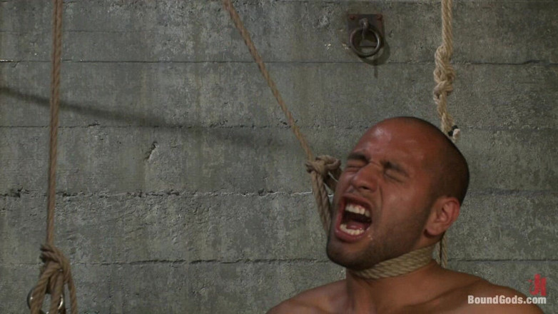KINK men: Resistance Is Futile