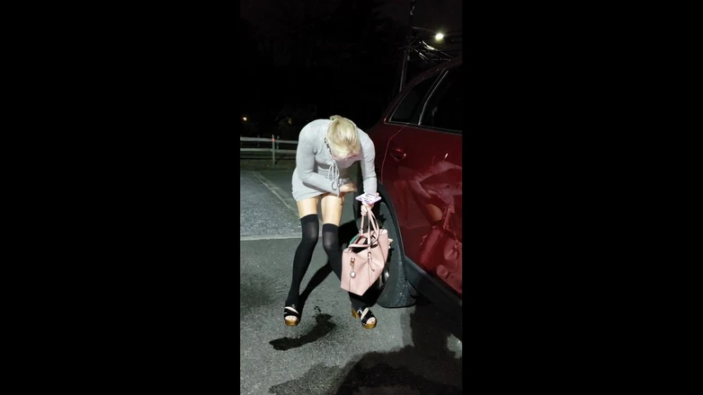 Fantasy Milf: Bar Pee Slut