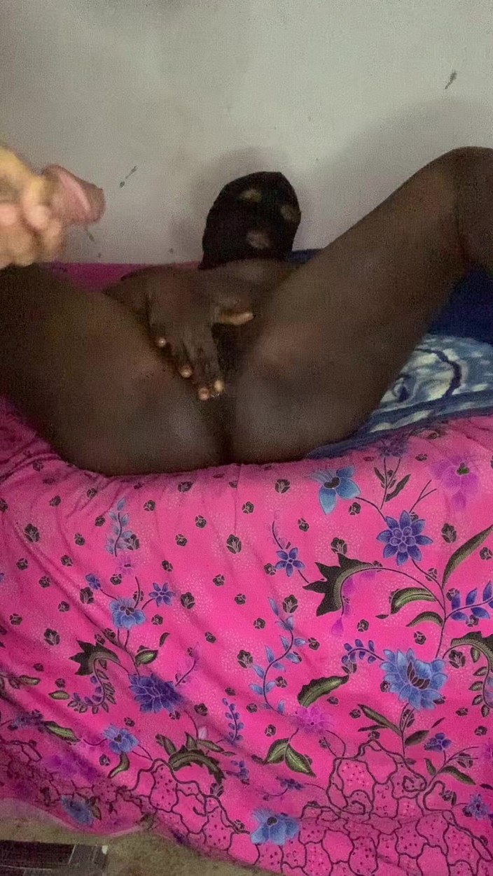 Yansh Fans: 昨夜の遊び方