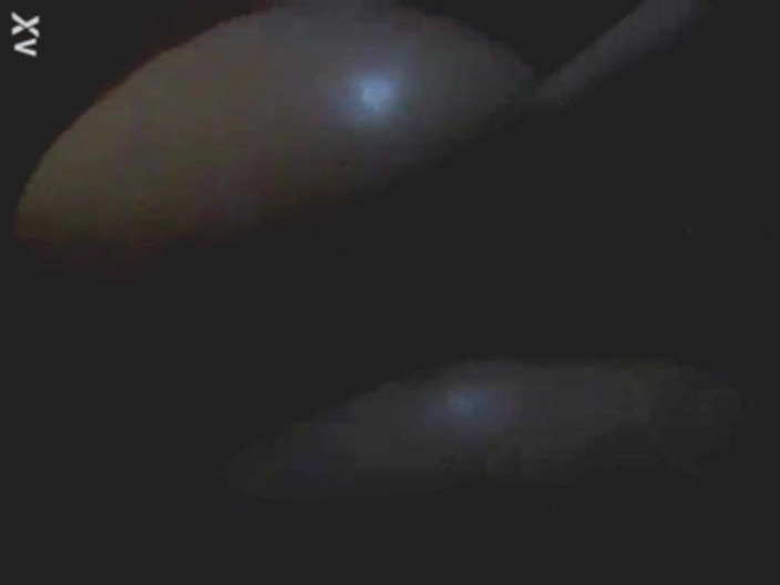 Lom: Si arrampica su di me