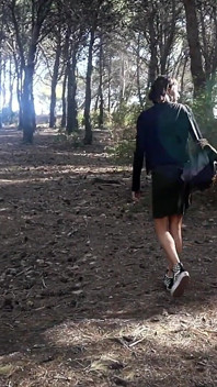 In the Park