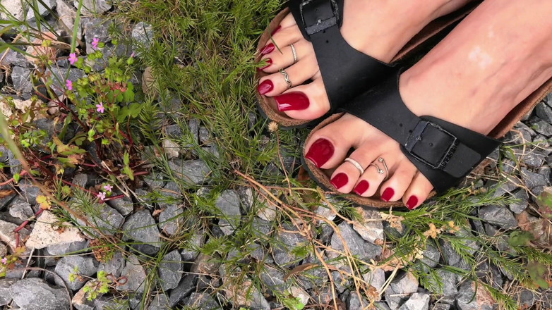 Goddess Lena: Гра за Birkenstocks