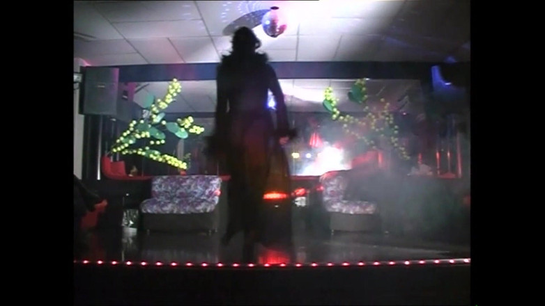 The Swingers & CO.: क्लब में लड़की