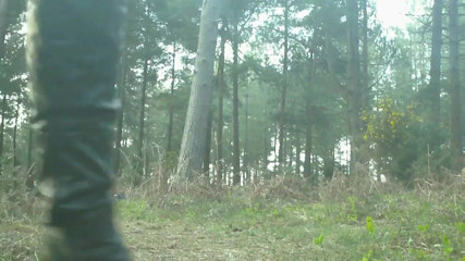 Movies by Louise: Going down in the woods