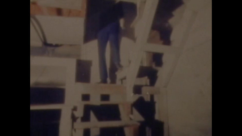 Vintage Usa: 看着，享受猪的乐趣