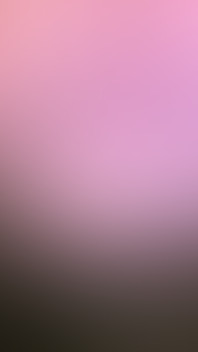 Have You Gotten My Creampie Bundle yet?