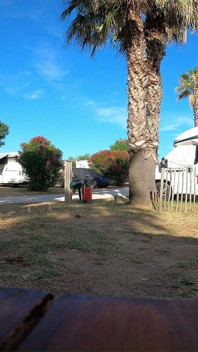 Игры извращенной пары в кемпинге во французском нудистском пляже