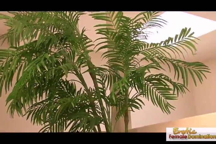 Erotic Female Domination: Gadis cantik kulit hitam dengan pantat bahenol lagi asik muasin...