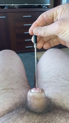 Peppol: Penis sokma