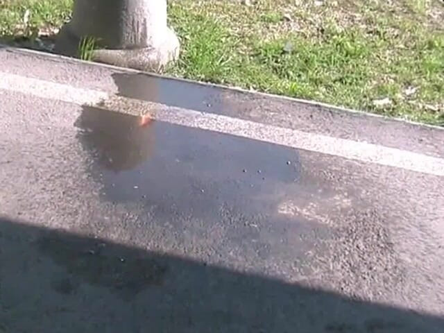 Femdom Austria: Pissing in un parcheggio
