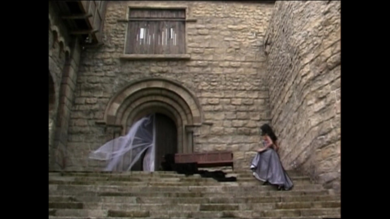 Hard Accademy: 湿漉漉的荡妇乞求粗暴抽插