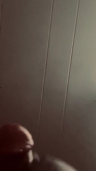 Spartan Cocky