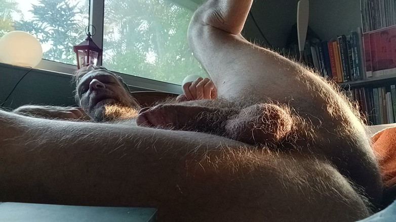Hairyartist: Will's Relaxation Trigger