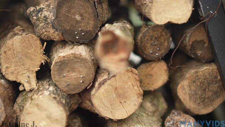 JasmineJ9966: Pembukaan video endoskopi vulva basah