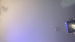 Savage confidence: Лежа на кровати с камерой, между моих ног увидеть меня бюст