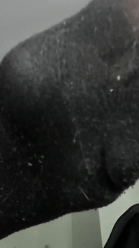 Dirty Socks