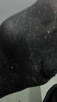 Dirty Socks