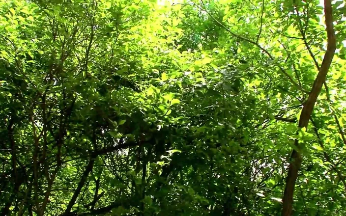 My girlfriend: Amazing Blonde Has Solo Sex in a Park