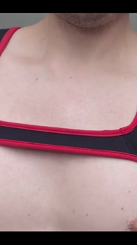 Would You Play with My Nips?