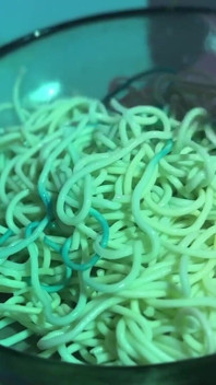 Being Fed Noodles From the Toilet