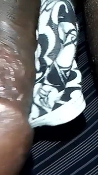È stato mandato al Panni dove il catturato è stato posto a casa