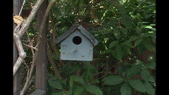 Dirty Lesbian: Cette salope adore sucer des bites et avaler du sperme