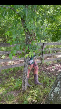 Would You Follow Me Into the Woods?
