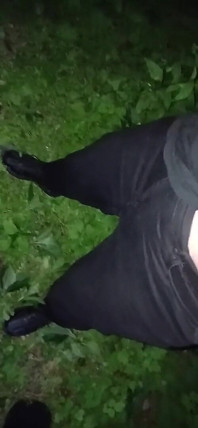 We Have Risky Sex in the Forest