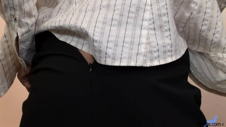 Anilos: Office Pleasure