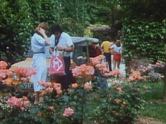 Java Consulting: Раком, классика у бассейна! (первая сцена, 8m26)