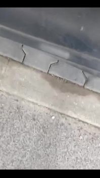 ¿Quién viene a limpiar mis zapatos?