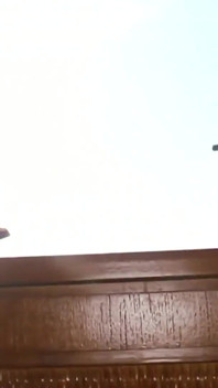 Gaping black butthole shower show and then my sunkist black butthole riding huge dildo