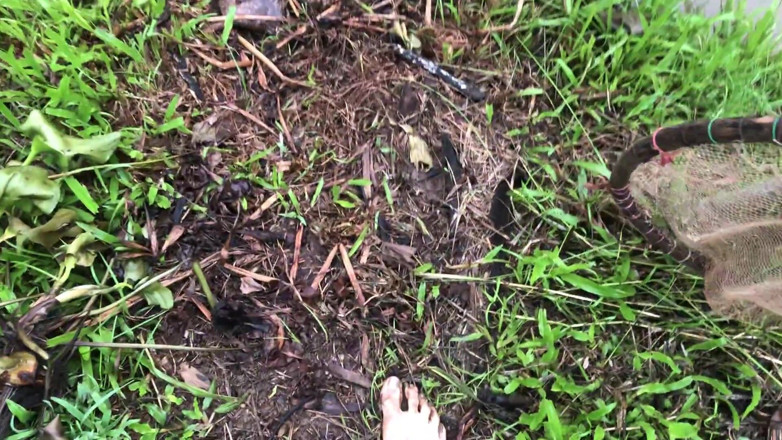Goddess Maya: Foot Fetish Grass