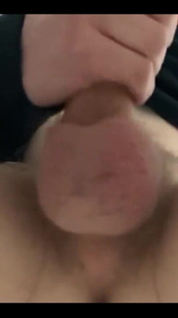 White Cock