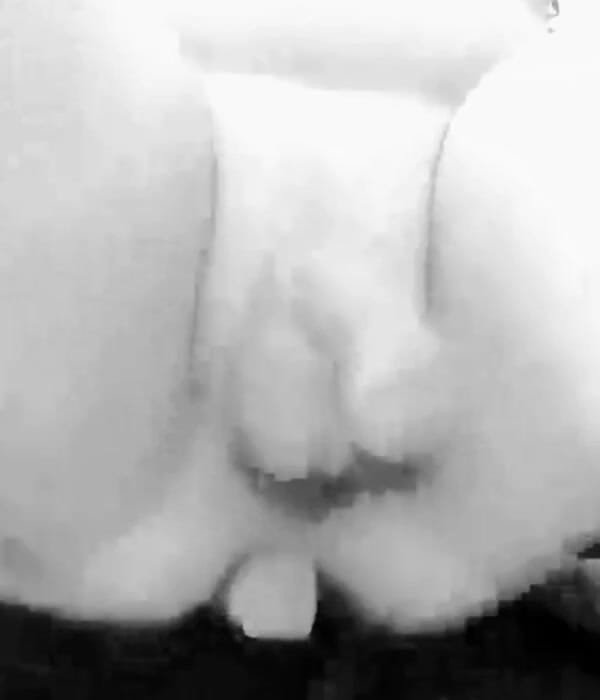 Northwoods Cock: Antrenament cu vibrator