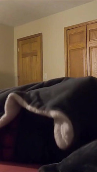 Step Father Impregnates Step Daughter While Step Mom Is Downstairs on the Couch