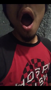 Mouth Gestures
