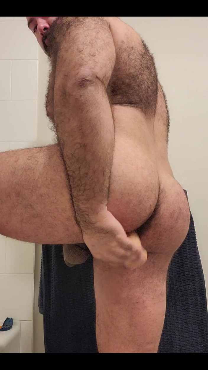 Lobo: Anal tid