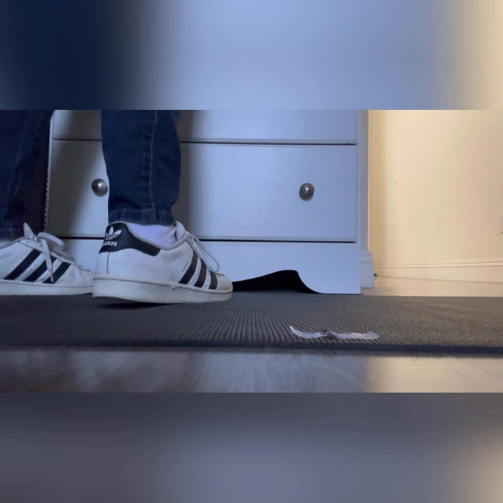 Tan feets: Blandad latina tanfeets giantess i sneakers N strumpor Skoborttagning Tiny...