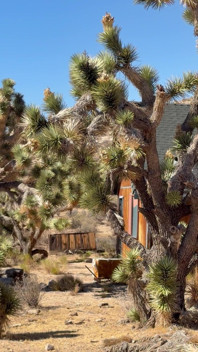 Abandoned House off Grid