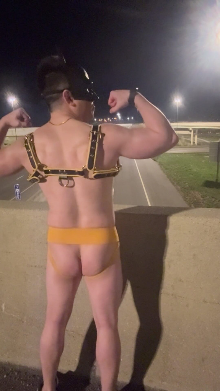 Barenakedmuscles: Nacht Muscle king: Asiatisches Brocken in Leder harness &amp;jockstrap besitzt die...