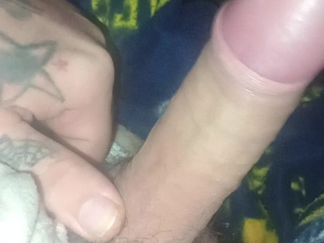 Cock Studio 8 (Cocks studio)
