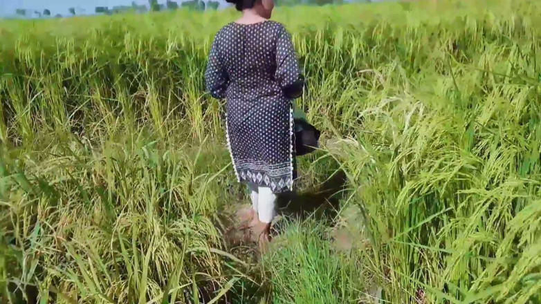 Abida sexy: Mother-in-law Let Her Son-in-law Piss on Her Gorgeous Legs