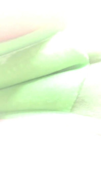 Buy My New Mixed Pee/panty