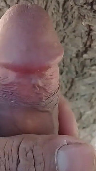 Beautiful Young College Girl Is Getting Fucked on the Road, They Have Her on All Fours