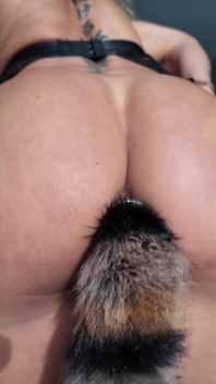 Just a Tiny Taste of Foxy Ass Plug Muscle Queen